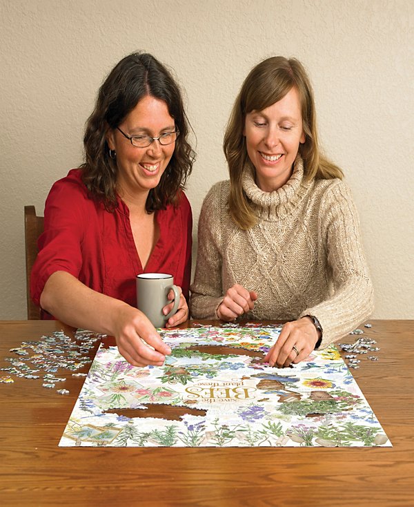 Save the Bees Puzzle